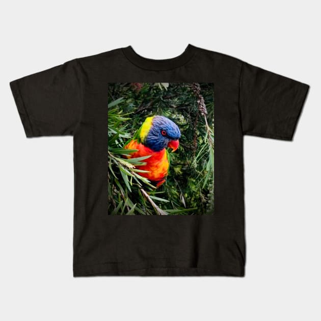 Rainbow lorikeet Kids T-Shirt by Margo Humphries Art